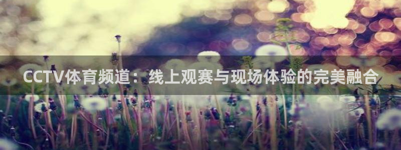 小九直播体育直播平台：CCTV体育频道：线上观赛与现场体验的完美融合