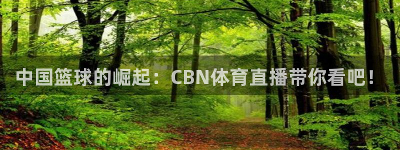 小九直播免费足球观看：中国篮球的崛起：CBN体育直播带你看吧！
