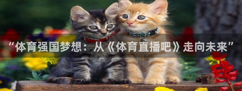 小九直播免费体育直播：“体育强国梦想：从《体育直播吧》走向未来”