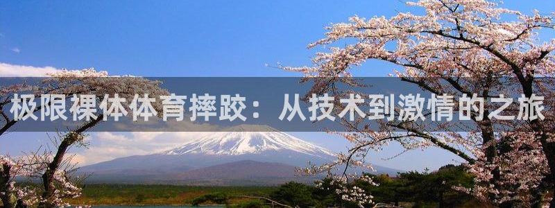 小九足球直播免费观看：极限裸体体育摔跤：从技术到激情的之旅