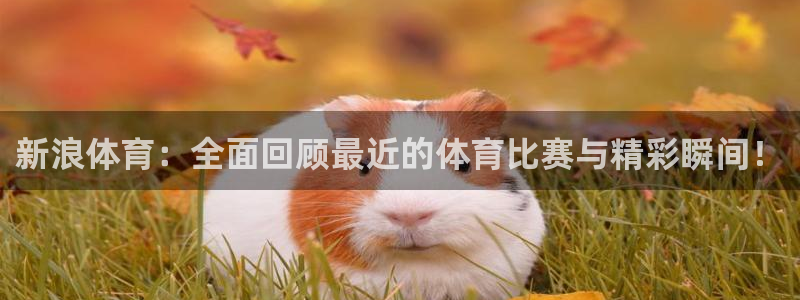 小九免费直播在线观看直播足球：新浪体育：全面回顾最近的体育比赛与精彩瞬间！
