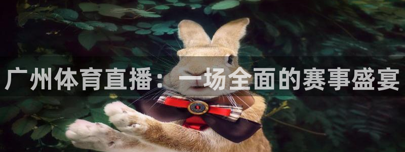 小九免费直播在线观看直播足球：广州体育直播：一场全面的赛事盛宴