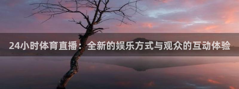 小九直播：24小时体育直播：全新的娱乐方式与观众的互动体验