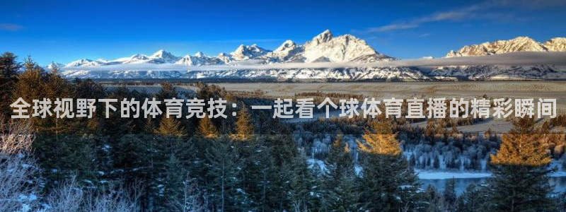 nba直播吧小九直播：全球视野下的体育竞技：一起看个球体育直播的精彩瞬间
