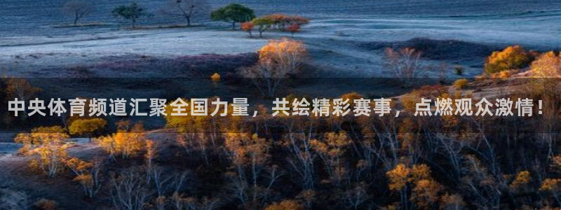 小九直播官方体育下载安装