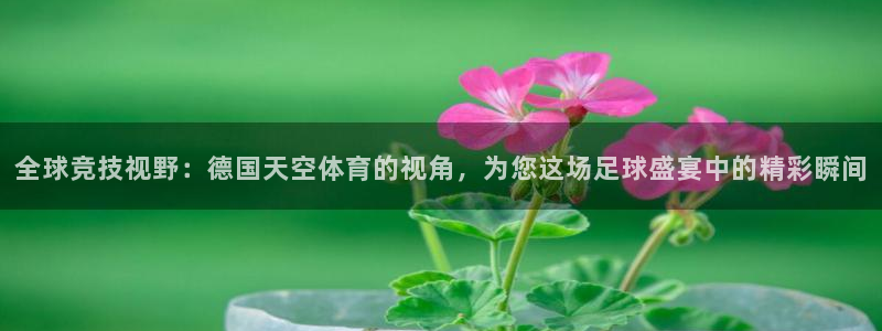 小九体育直播在线观看
