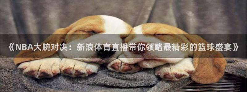 小九直播官方体育下载安装：《NBA大腕对决：新浪体育直播带你领略最精彩的篮球盛宴》