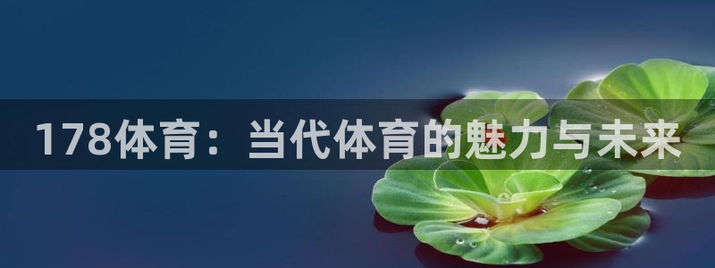 小九nba免费观看