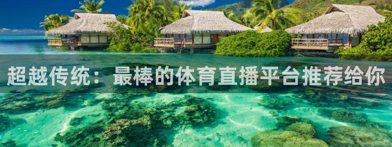 小九儿直播：超越传统：最棒的体育直播平台推荐给你