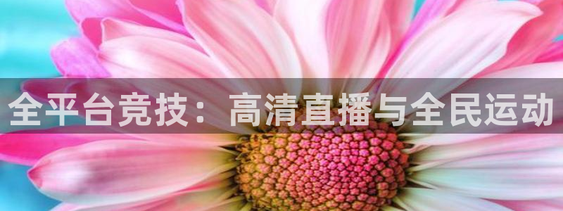 小九直播