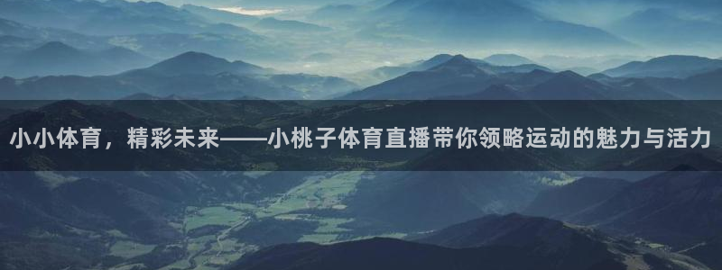 小九篮球直播