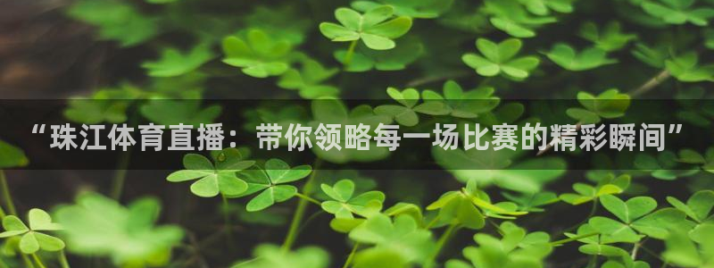 小九直播足球