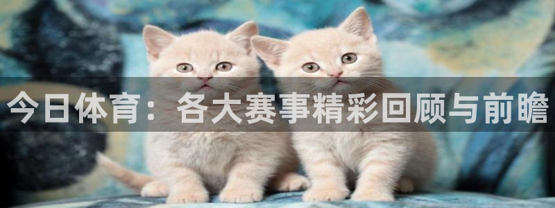 小九直播nba