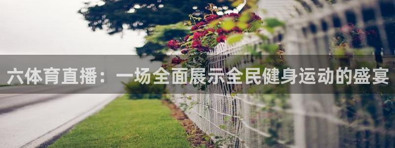 小九体育直播在线观看：六体育直播：一场全面展示全民健身运动的盛宴